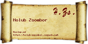 Holub Zsombor névjegykártya